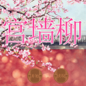 宫墙柳手游